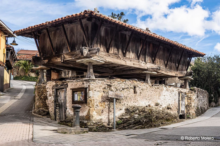 Tineo
