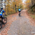 BTT bosque de Peloño