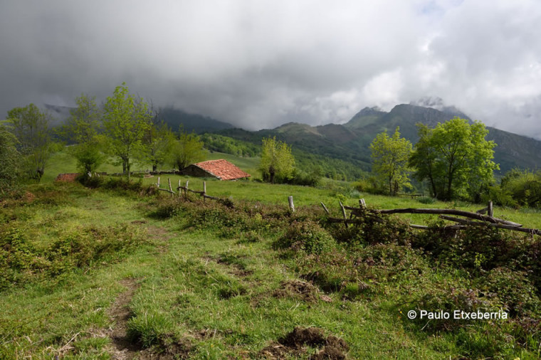 Parque natural de Ponga